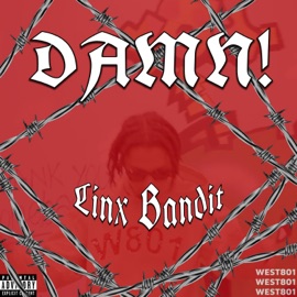 DAMN! (feat. Tweeko) WEST801 & Linx Bandit