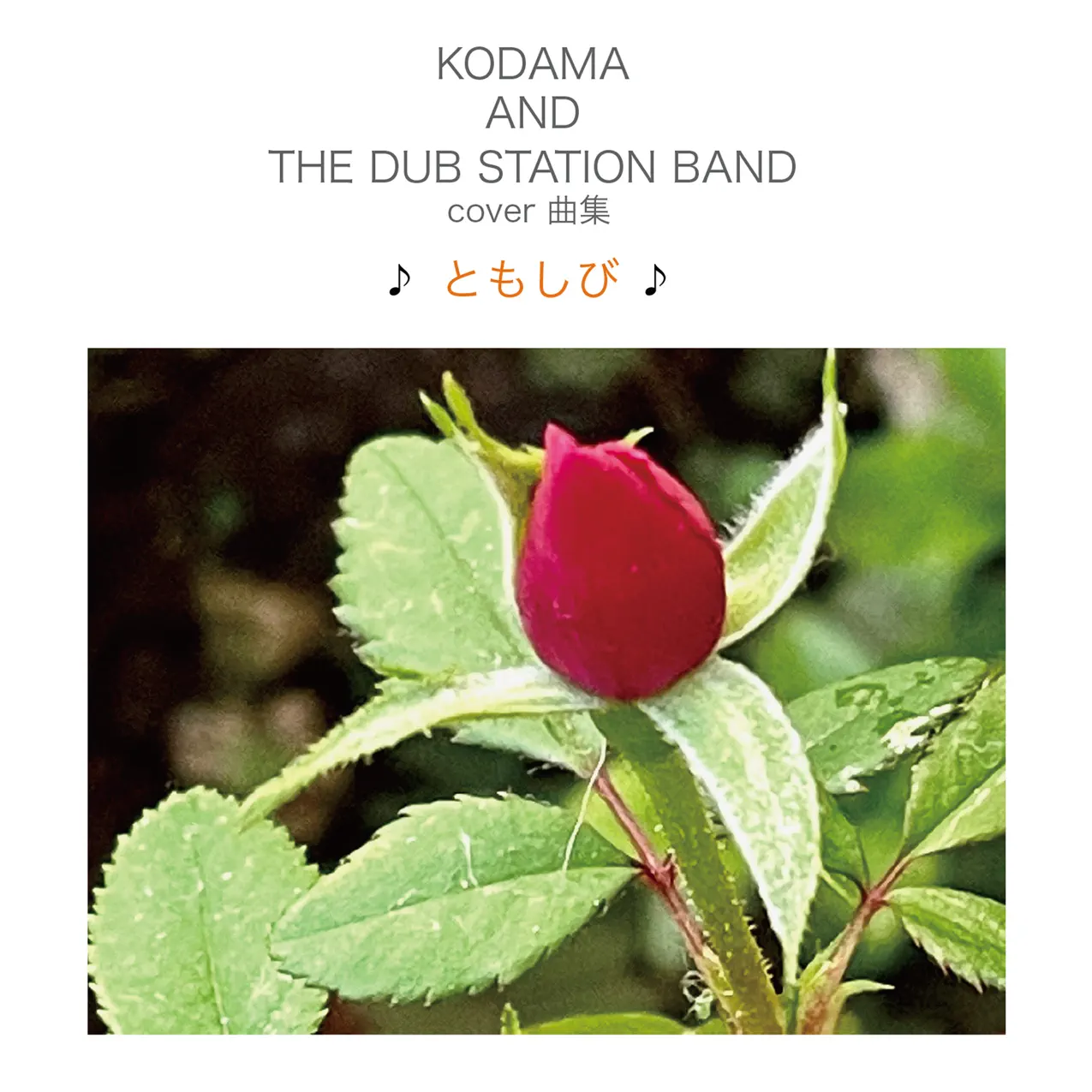 ゲゲゲの鬼太郎 ～DUB～ - KODAMA AND THE DUB STATION BAND: Song