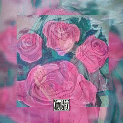 NIE WIEDER LIEBE (feat. cxpyyy) - Single