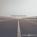 Drivers License