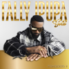 Fally Ipupa - Amore artwork