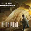 Alina Pash - Чекаю ночі (із к/ф "Я, "Побєда" і Берлін")