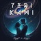 Teri Kami (feat. Mizajii) - Raag7 lyrics