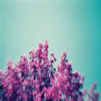 Settle - Single - Arufi