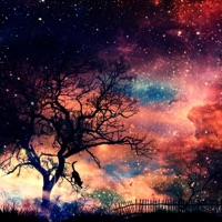 Graveyard - Single - Hoksi