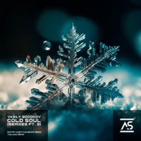 Cold Soul (Remixes, Pt. 3) - EP - Vasily Goodkov, Dmitry Kostyuchenko & Violand