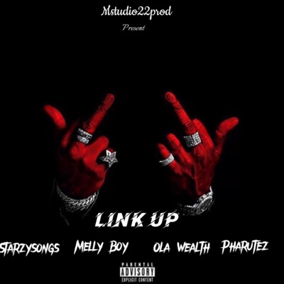 Link Up (feat. Starzysongs, Mellyboy & Pharutez) - Single