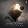 Tranceform - Liquid Soul & Alchimyst