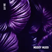 la vie — muddy mudd