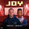 Joy - Single (feat. Destiny Boy) - Single