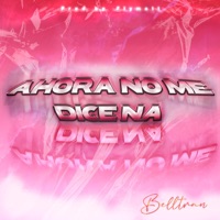 AHORA NO ME DICE NA - Single - Belltran & Flymatt