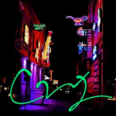 I'll Never Leave - Single