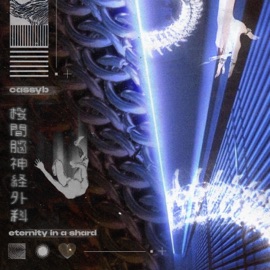 eternity in a shard cassyb