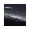 Into the Wild - Single