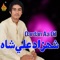 Dardan Aa Dil - Shahzad Ali Shah lyrics