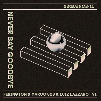 Never Say Goodbye - Single