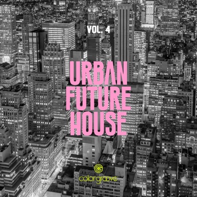 Urban Future House, Vol. 4