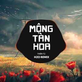 Mộng Tàn Hoa (Remix EDM) H2O Remix & Thiên Tú
