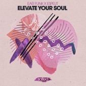 Elevate Your Soul - EP artwork