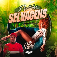 Pedidos Selvagens - Single - Mc Shay & Dj Xande