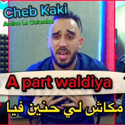 A Part Waldiya (feat. Amine La Colombe) - Single