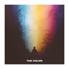 The Color - Single