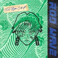 Album cover for Rod Wave by Bad Beats