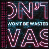 Won't Be Wasted (feat. Max Landry) artwork