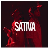 Sativa artwork