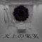 Fruit of Heavenly - 201号室 lyrics