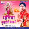 Dhaniya Bhulaili Mela Me - Single