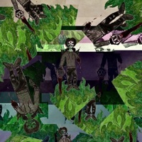 Derogatory. - Single - MissingFactxr