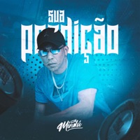 Sua Perdição (feat. Dj Dudu Coupper) - Single - MC Mindú