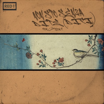 non sto senza di te (dici) (feat. Gioac) - Single