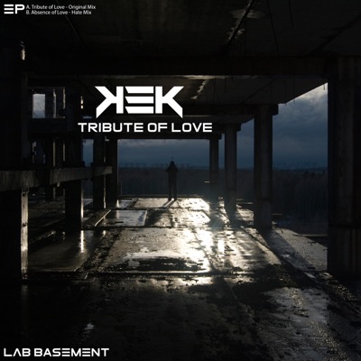 Tribute of Love - Single