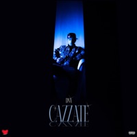 Cazzate - Single - DNA