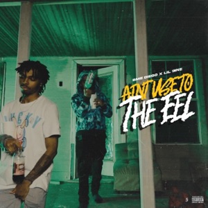 Ain’t Use To the EEL (feat. Luh 9ine)