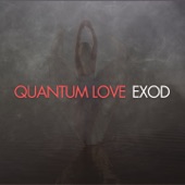 Quantum love artwork