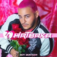 HRTbrkr - Boy Bowser