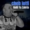 Hayem Ma Bghit Elmel - Cheb Lotfi lyrics