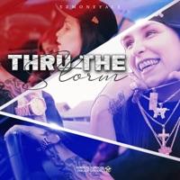 Through the Storm - Single - EzMoney Ace