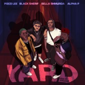 YARD (feat. Black Sherif, Bella Shmurda & Alpha P) artwork