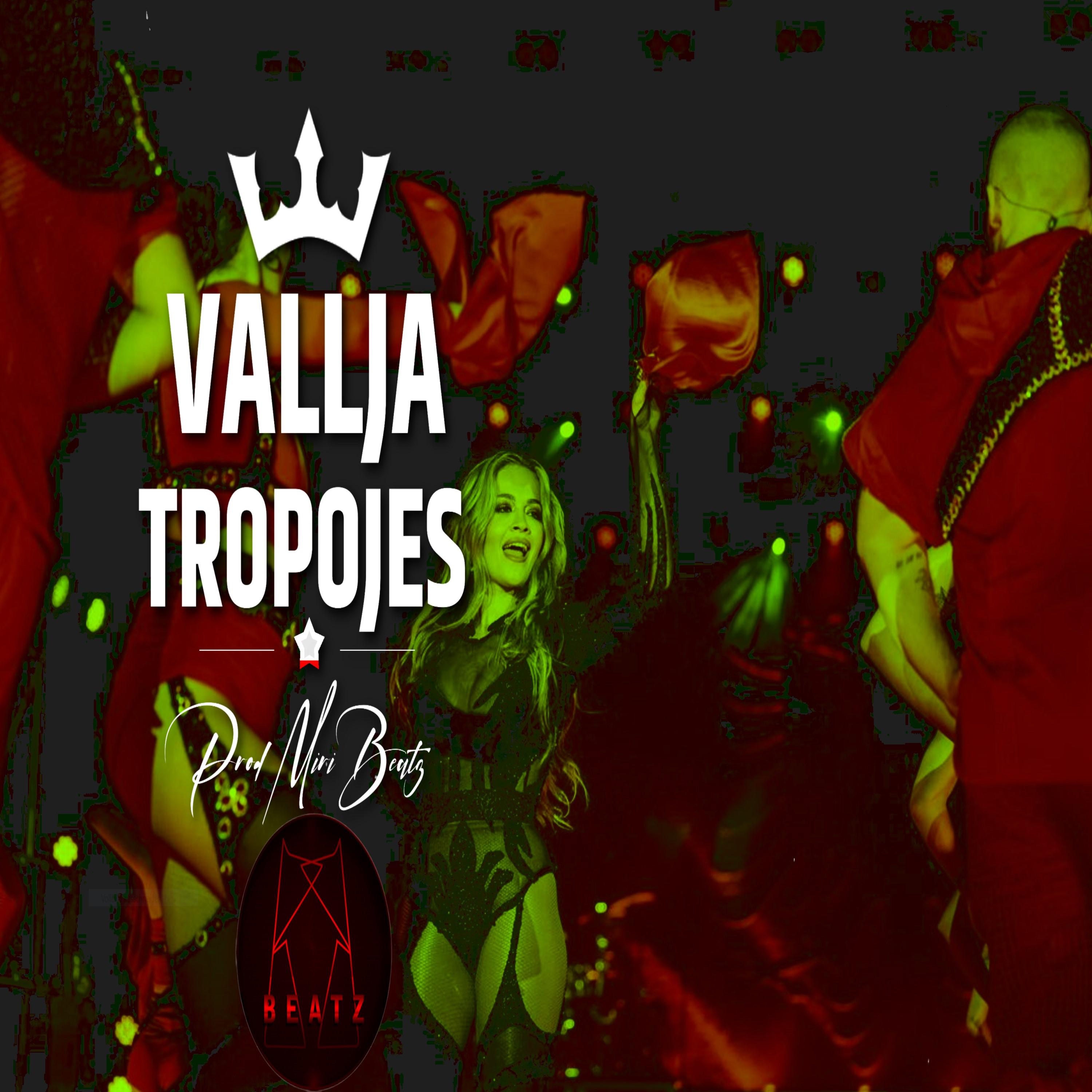 Vallja e Tropojes (Albanian Valle G-House) - Single