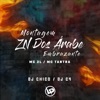 Montagem - Zn dos Árabe Embrazante (feat. Dj Chico) - Single