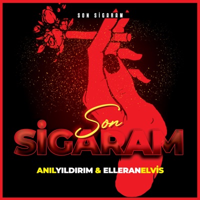Son Sigaram (feat. Elleran Elvis) - Single