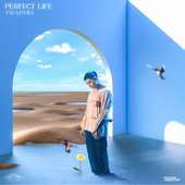 Perfect Life - Tsumyoki