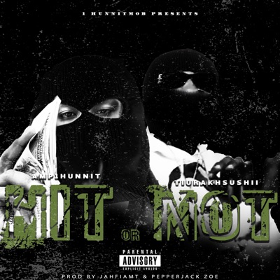 Hit Or Not (feat. TiurakhSushii) - Single