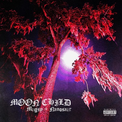 Moon Child (feat. Nanosaur) [Radio Edit] - Single