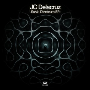 Salvia Divinorum - EP