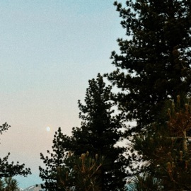 Embers (feat. Getbetter) cutdeep